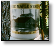 Maple Syrup Festival - 2009